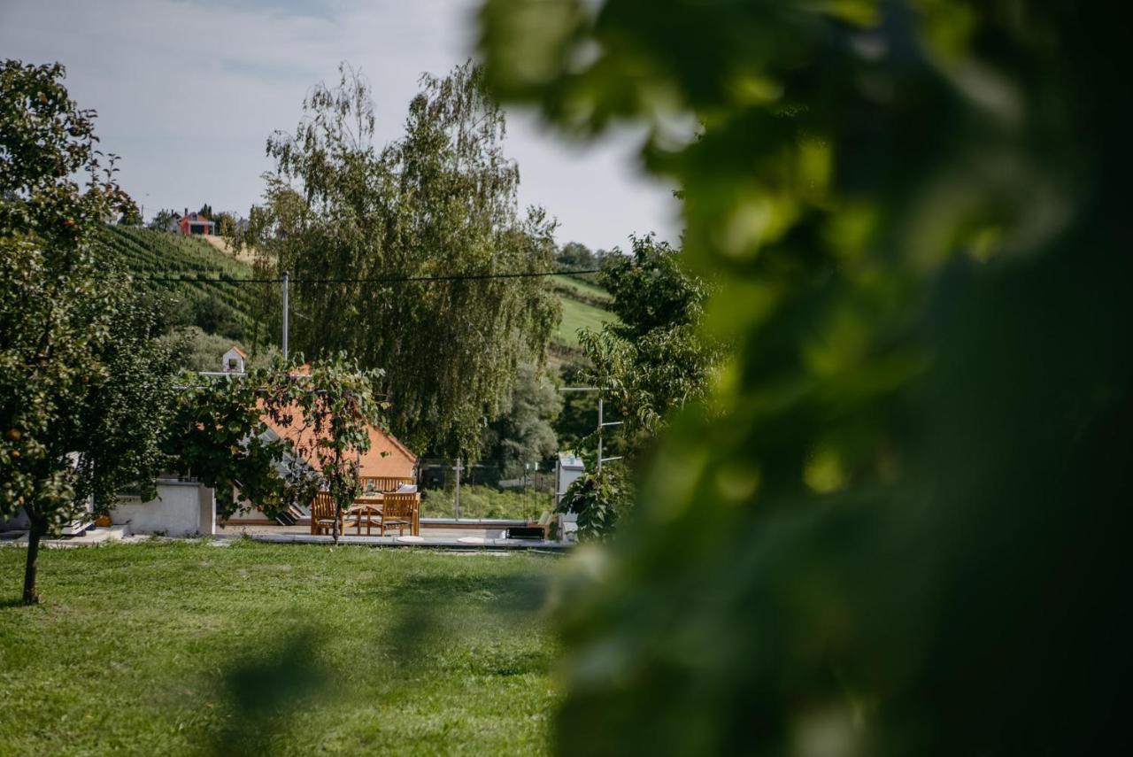 Wein Cottage Kellerstoeckl Eisenberg an der Pinka Buitenkant foto