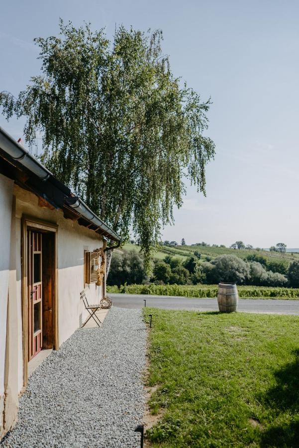 Wein Cottage Kellerstoeckl Eisenberg an der Pinka Buitenkant foto