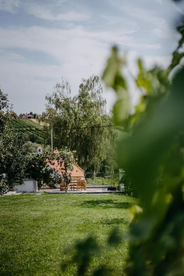 Wein Cottage Kellerstoeckl Eisenberg an der Pinka Buitenkant foto